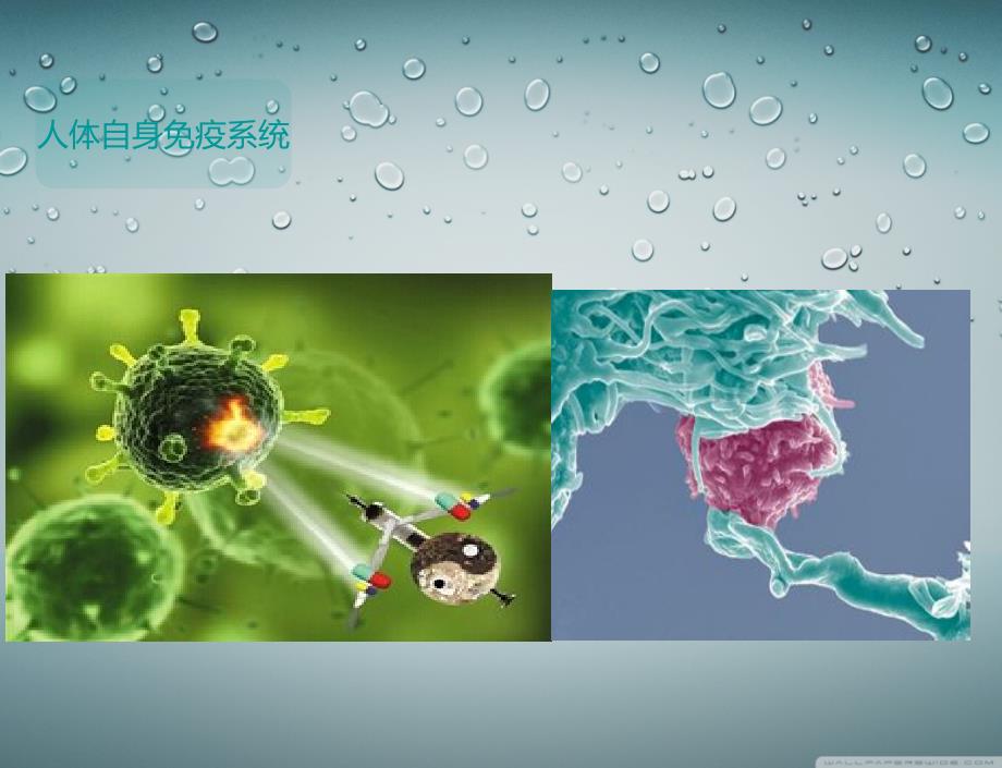 病变细胞实时检测与处理的人体微型传感器_第4页