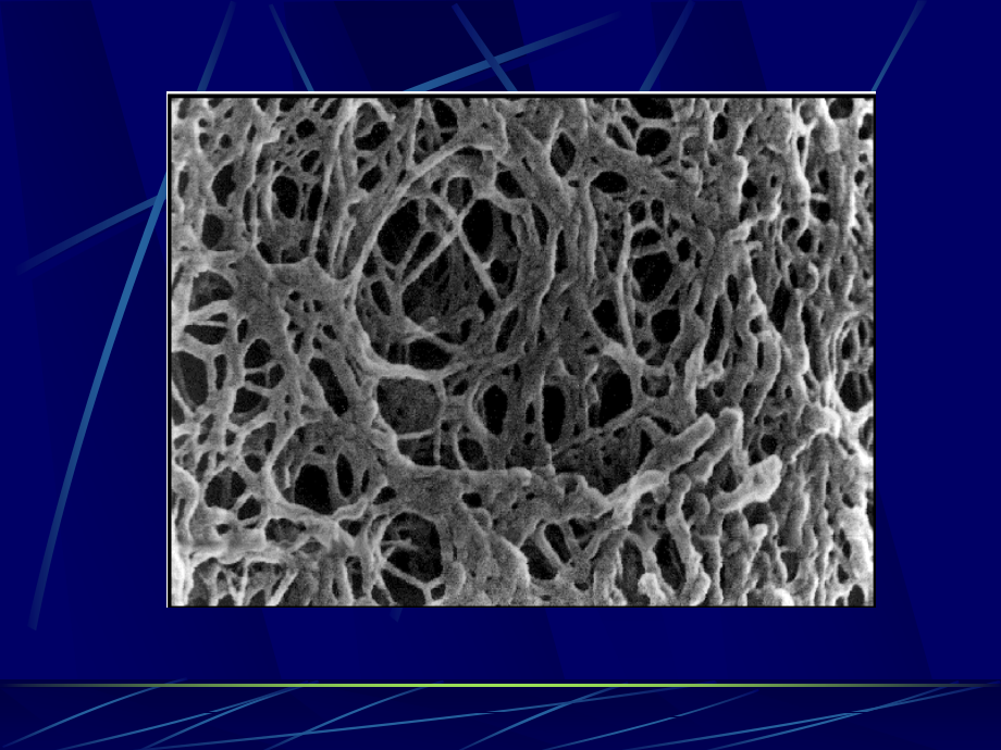 南农生物分离工程生物分离5_第4页