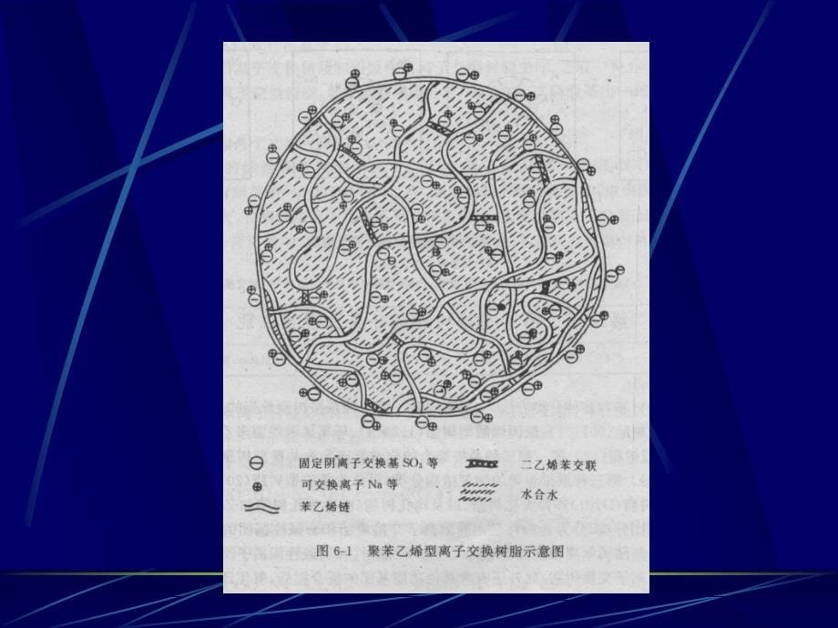 南农生物分离工程生物分离5_第5页