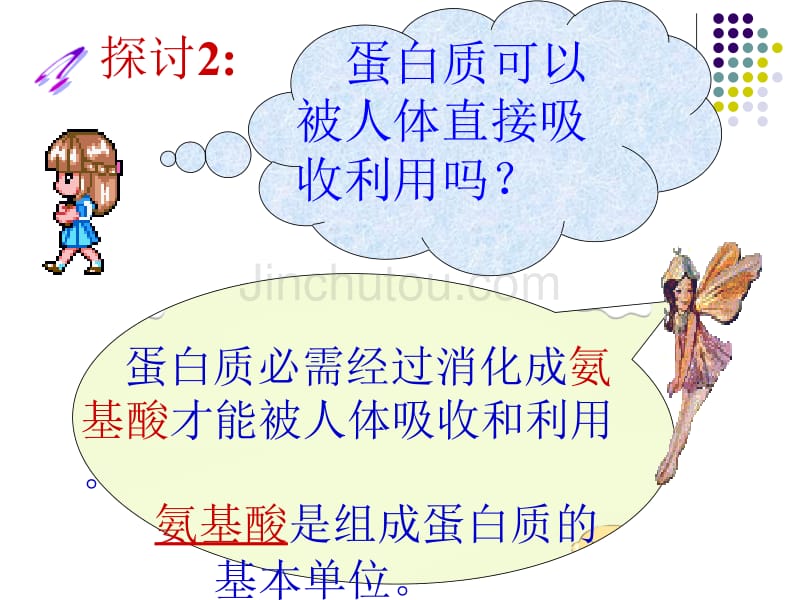 选用2.2生命活动的主要承担者—蛋白质_第4页