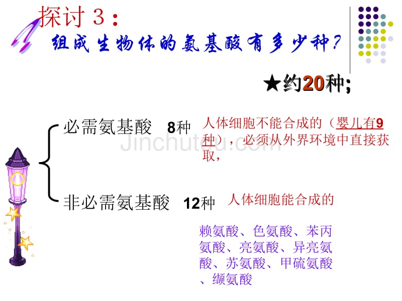 选用2.2生命活动的主要承担者—蛋白质_第5页