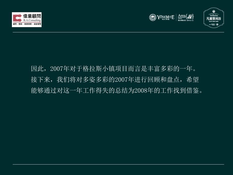 伟业顾问格拉斯项目体07年年终总结_第4页