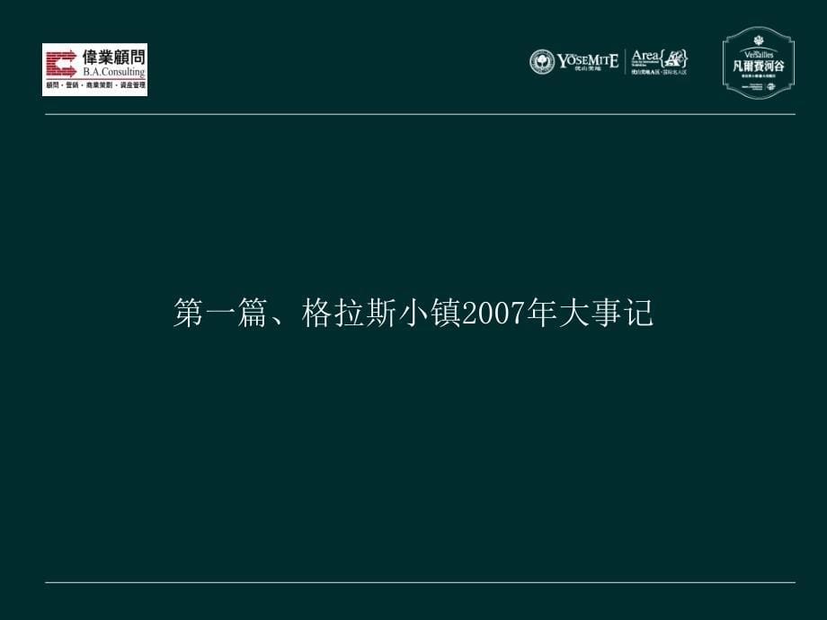 伟业顾问格拉斯项目体07年年终总结_第5页