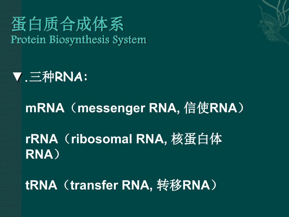 翻译及翻译后加工_第3页