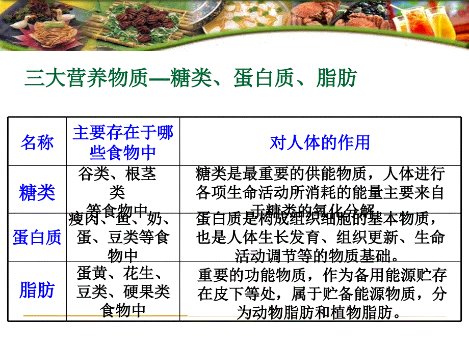 食物的消化与吸收_第4页