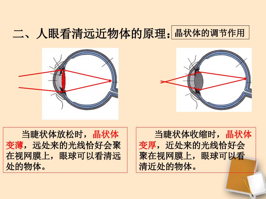 3.7眼睛与光学仪器课件粤教沪版_第3页