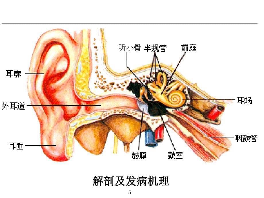 精品-优秀PPT课件--0-良性阵发性位置性眩晕手法复位_第5页