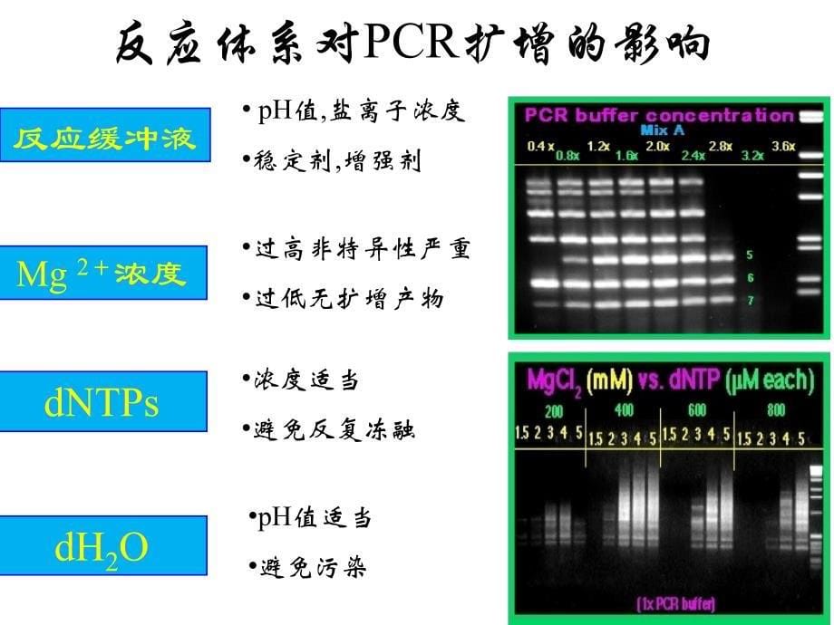PCR常见问题分析_第5页