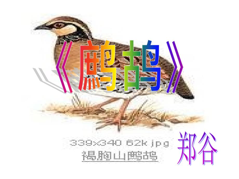 郑谷《鹧鸪》PPT课件_第1页