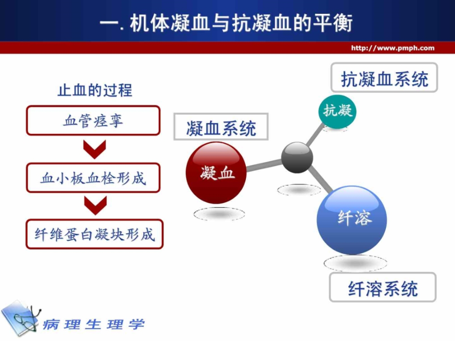 病理生理学课件 凝血和抗凝血平衡紊乱_第4页