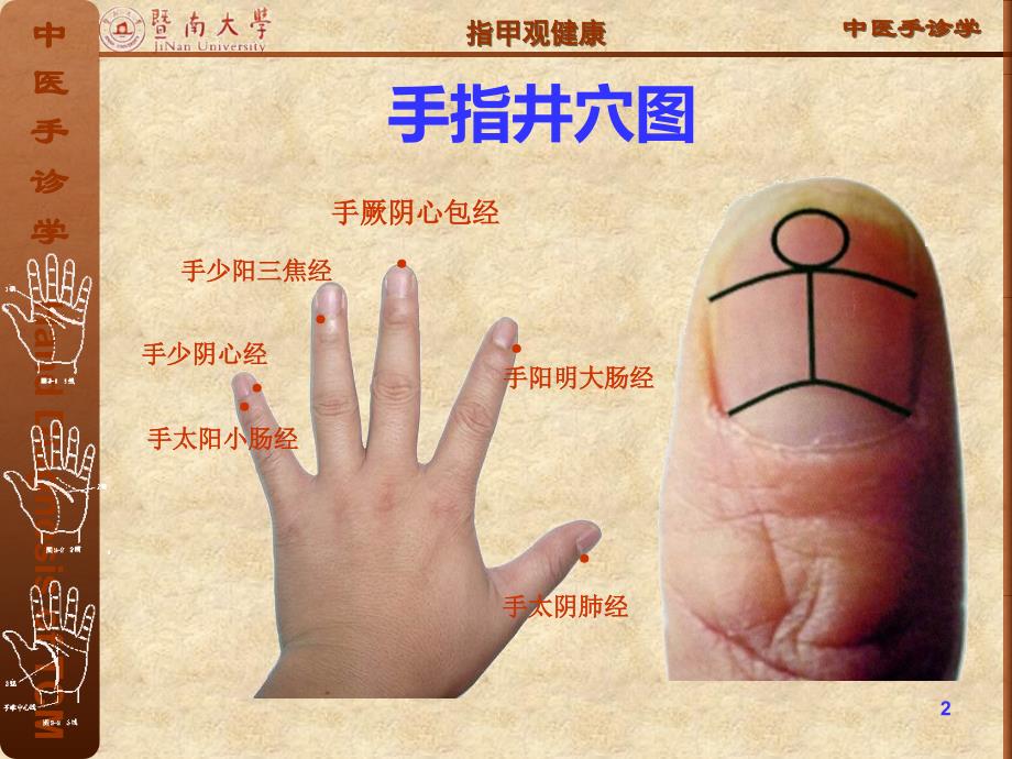 3_指甲观健康（课件）_第2页