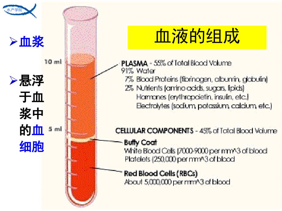 鱼类采血法 - 华中农业大学水产学院动物生理生化研究法第1讲_第2页