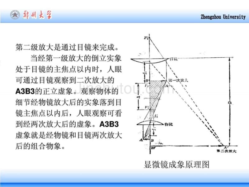 材料分析技术(金相分析技术)_第5页