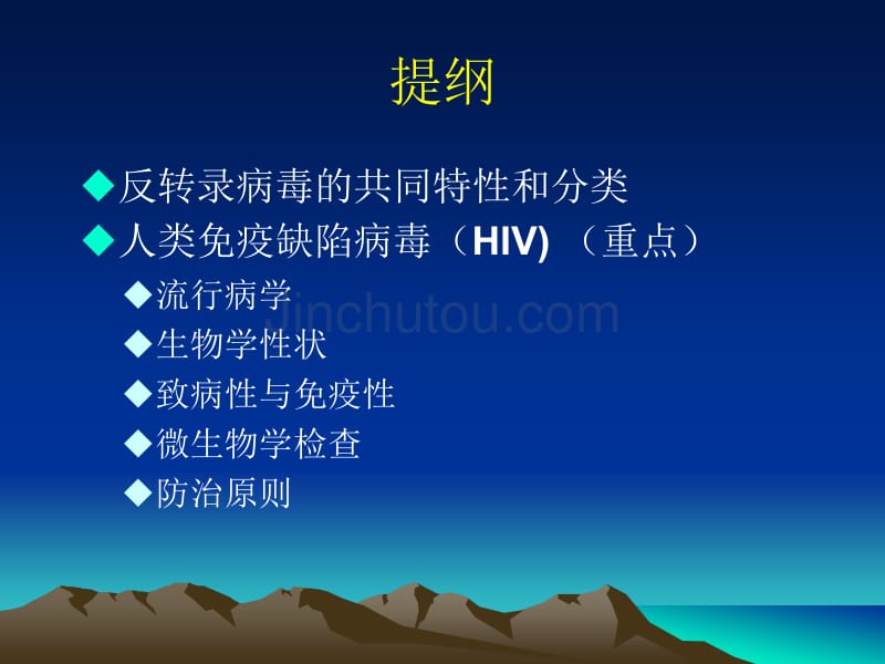 反转录病毒 HIV_第4页