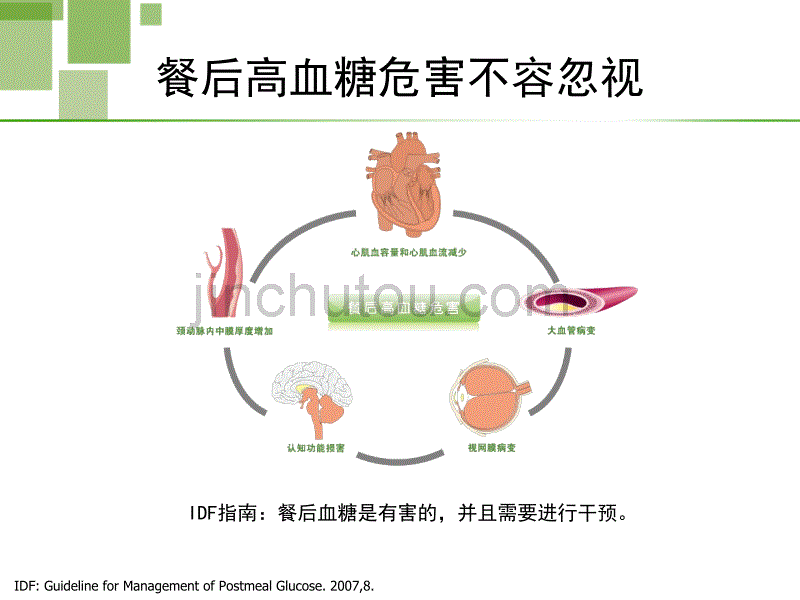 餐后血糖管理的新选择--卫材_第3页