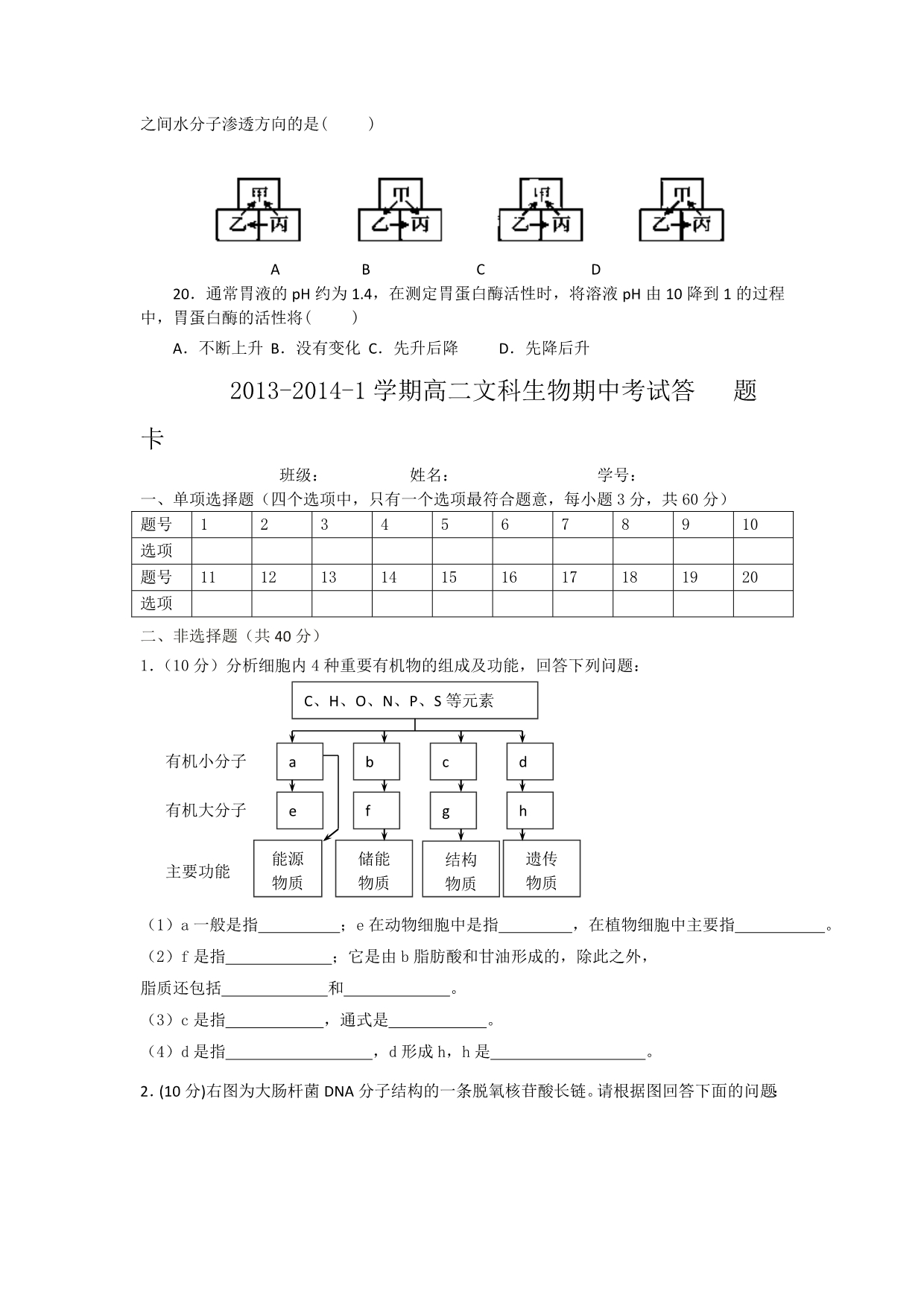 甘肃省会宁县第二中学2013-2014学年高二上学期期中考试生物（文）试题_第3页