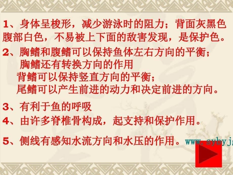 脊椎动物的主要类群_第5页