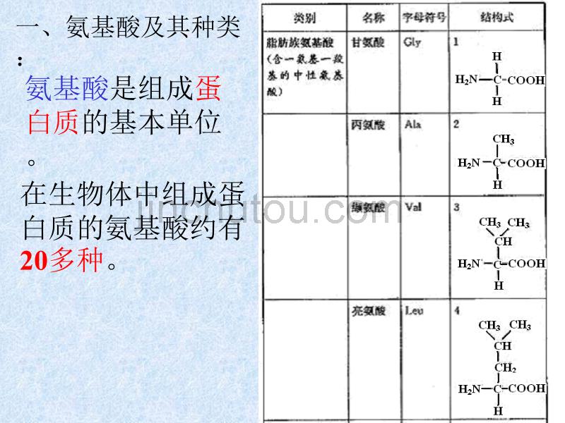 高中生物-组成细胞的分子-蛋白质_第4页