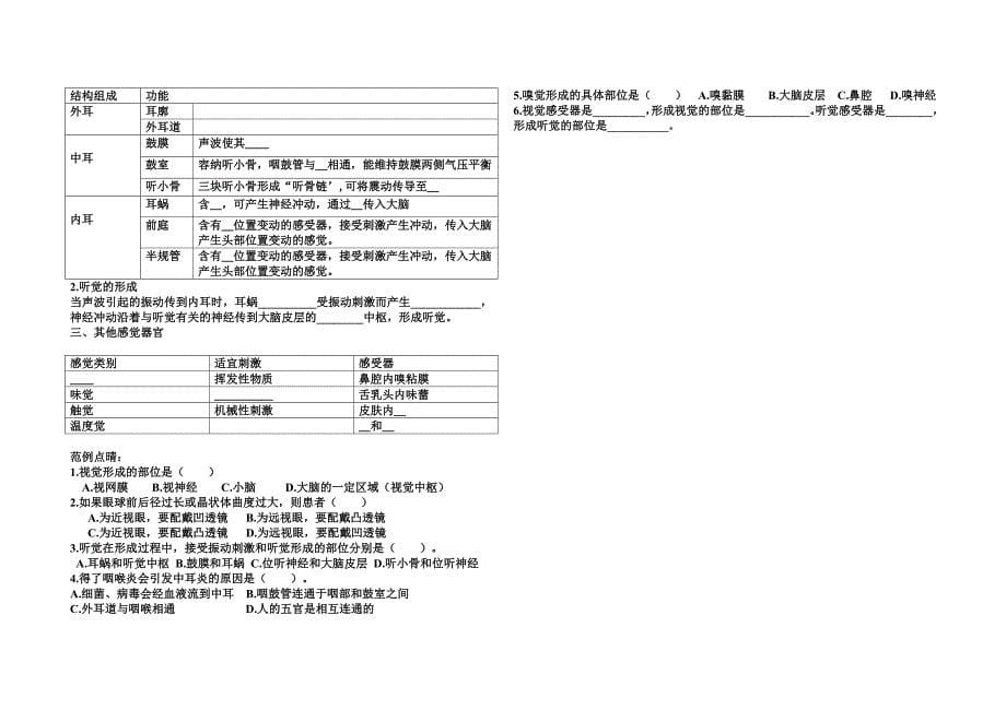 感受器和感觉器官_第5页