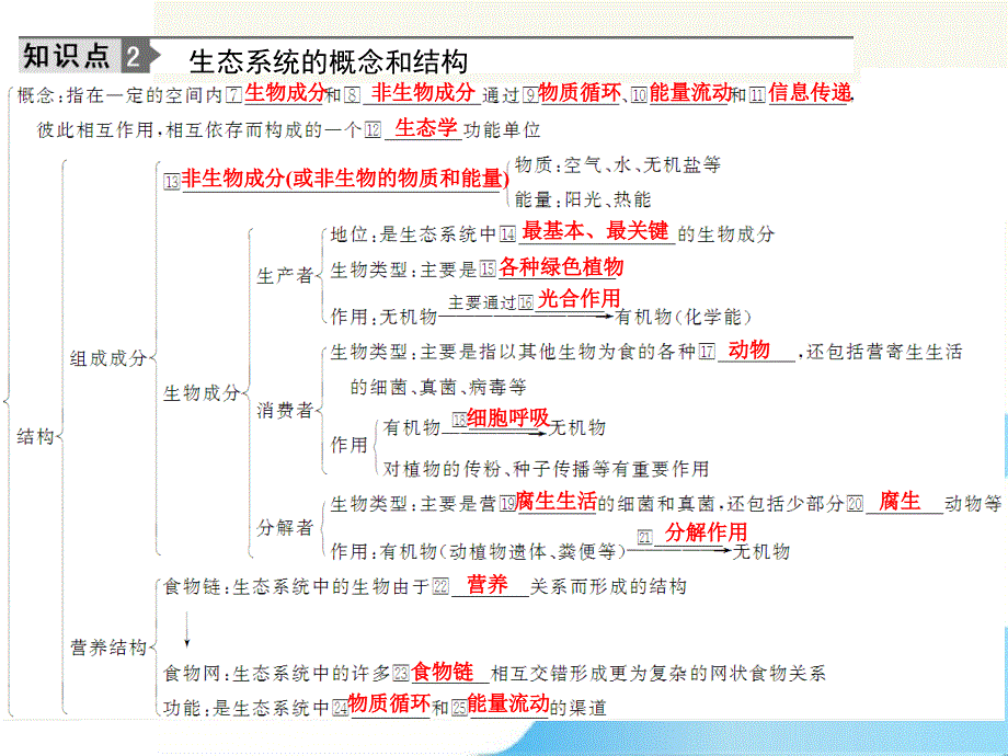 2012届高考生物 第3讲 生态系统和生物圈 总复习课件9 必修3_第3页