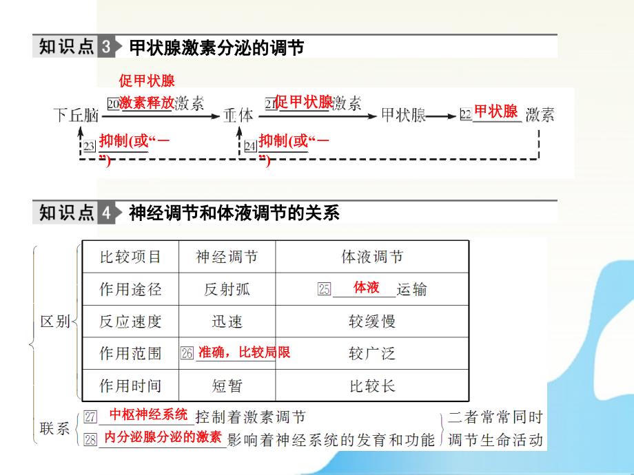 2012届高考生物 第4讲 激素调节 总复习课件3 必修3_第4页