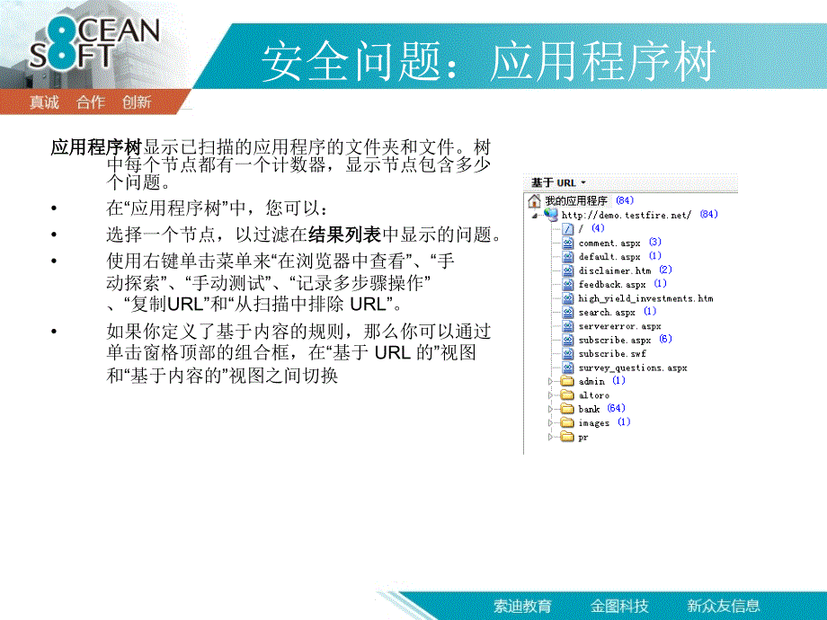 APPSCAN扫描问题结果_第4页