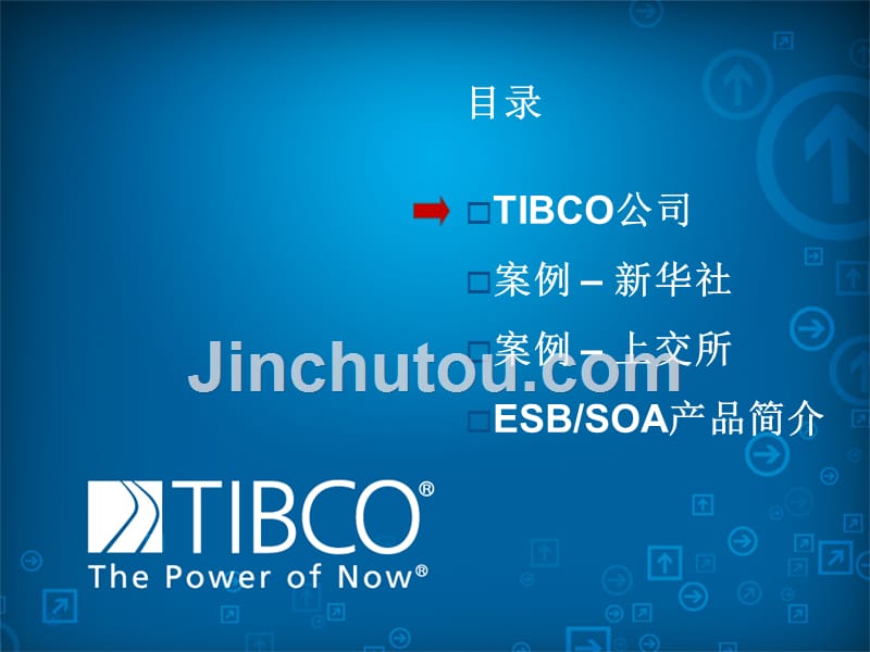 TIBCO-ESB-SOA介绍_第2页