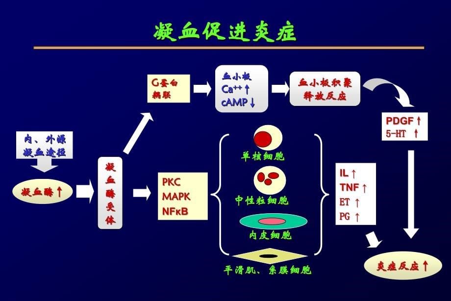 血液透析的抗凝方法_第5页