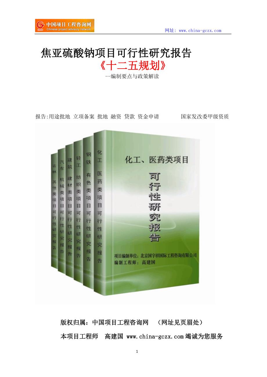 焦亚硫酸钠项目可行性研究报告立项格式范文_第1页