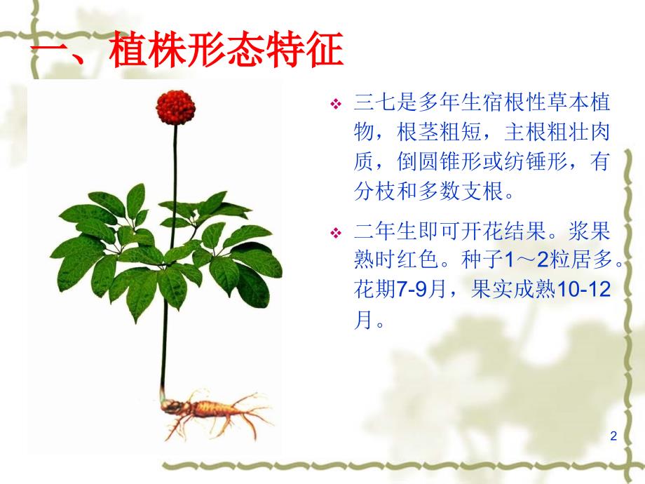 [药用植物栽培学]三七栽培技术_第2页