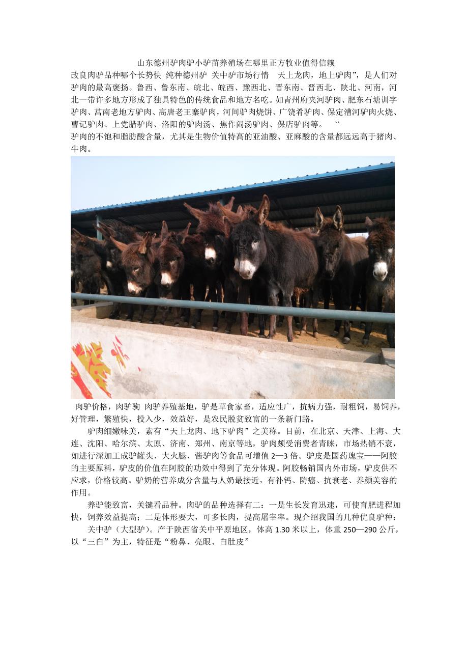 山东德州驴肉驴小驴苗养殖场在哪里正方牧业值得信赖_第1页