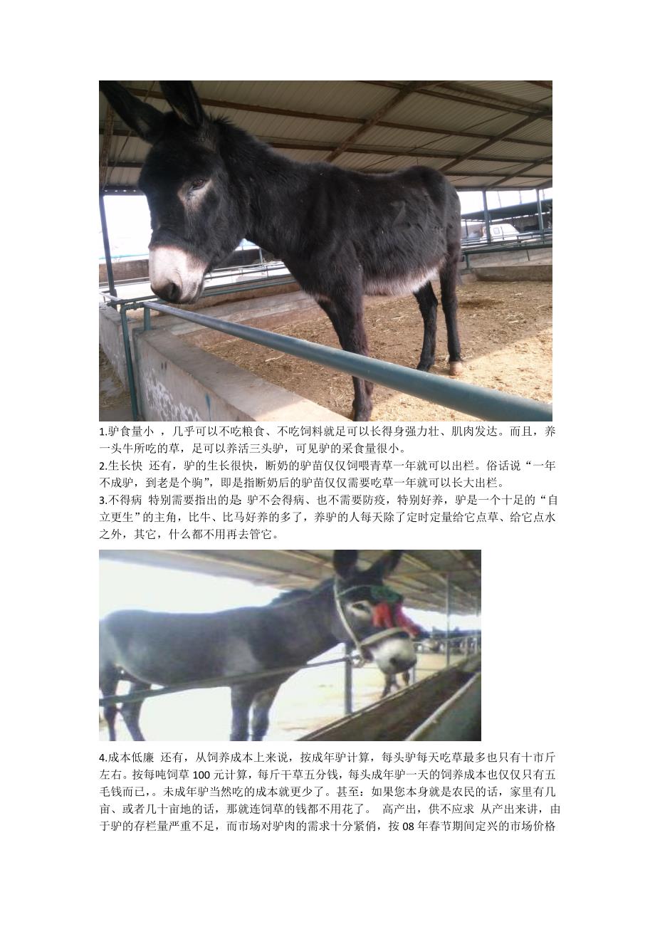 山东德州驴肉驴小驴苗养殖场在哪里正方牧业值得信赖_第3页