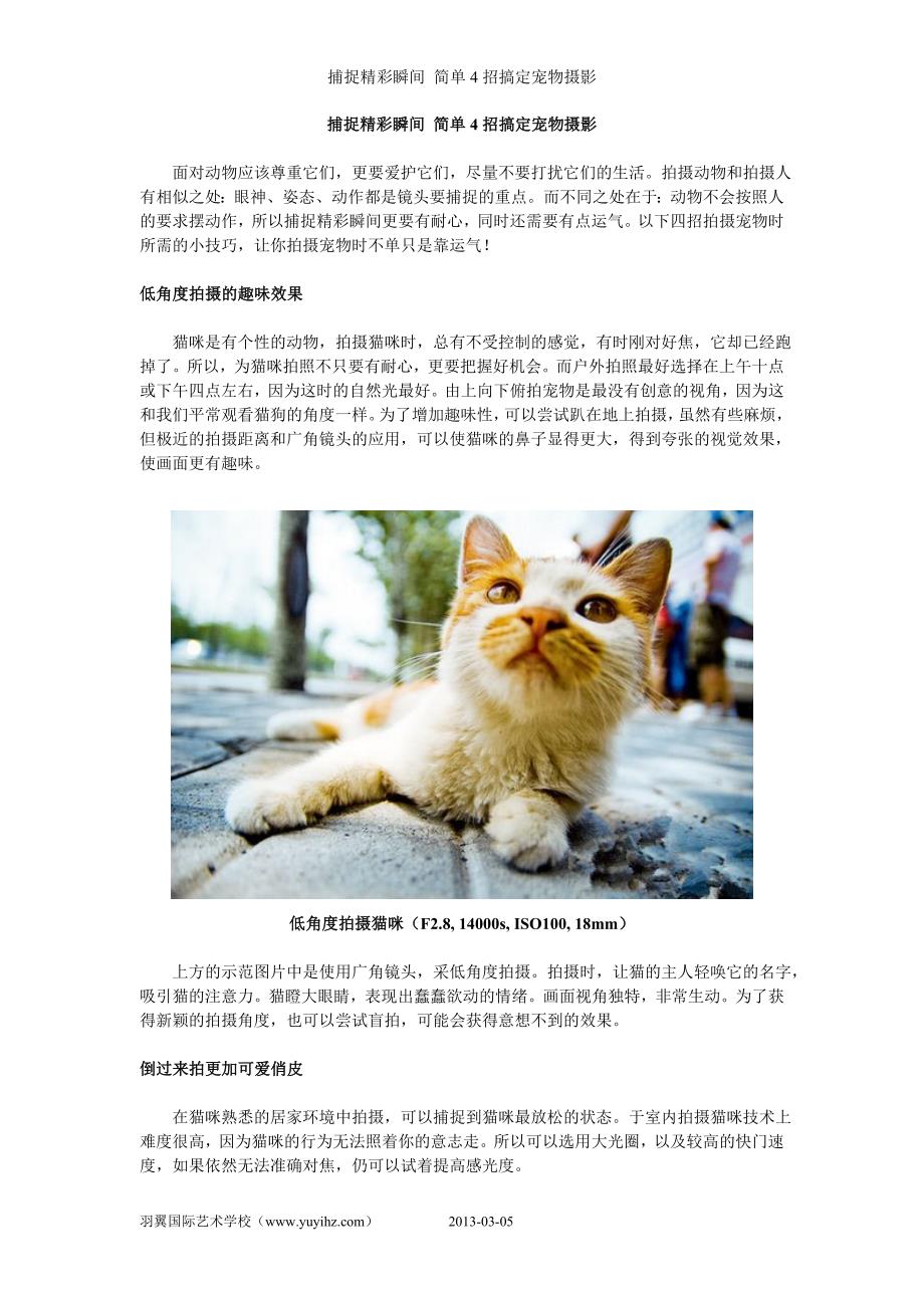 捕捉精彩瞬间简单4招搞定宠物摄影_第1页