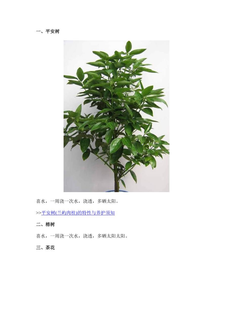 家庭养花：16种常见花卉的养殖经验介绍_第1页