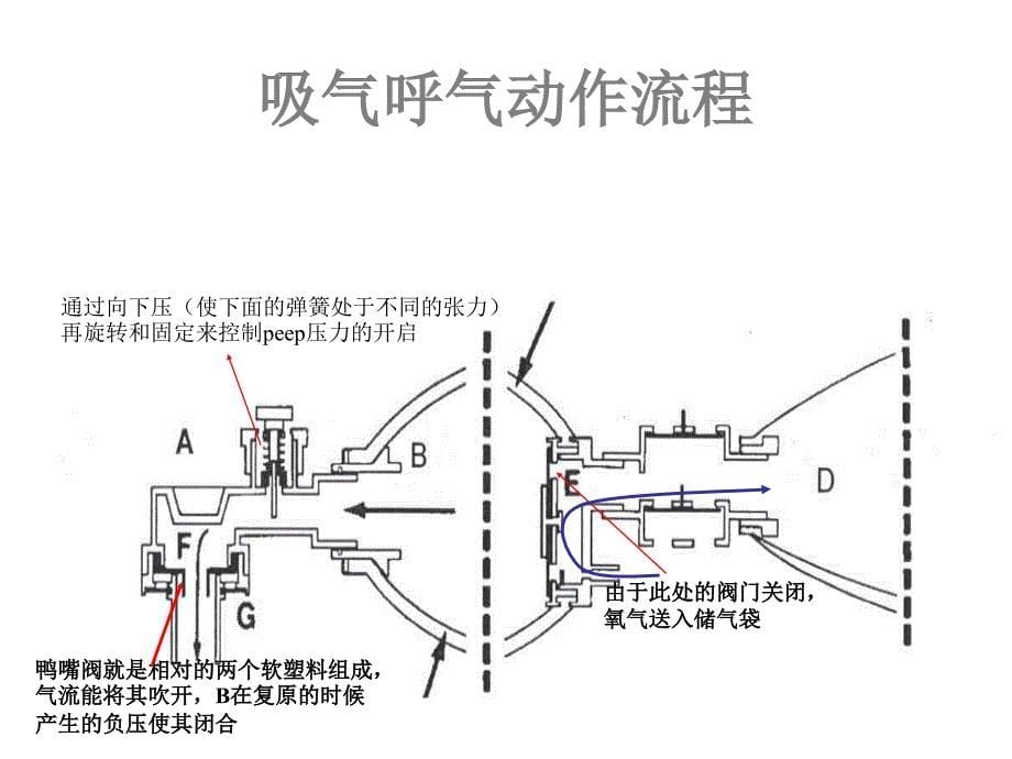 简易呼吸器的使用_第5页