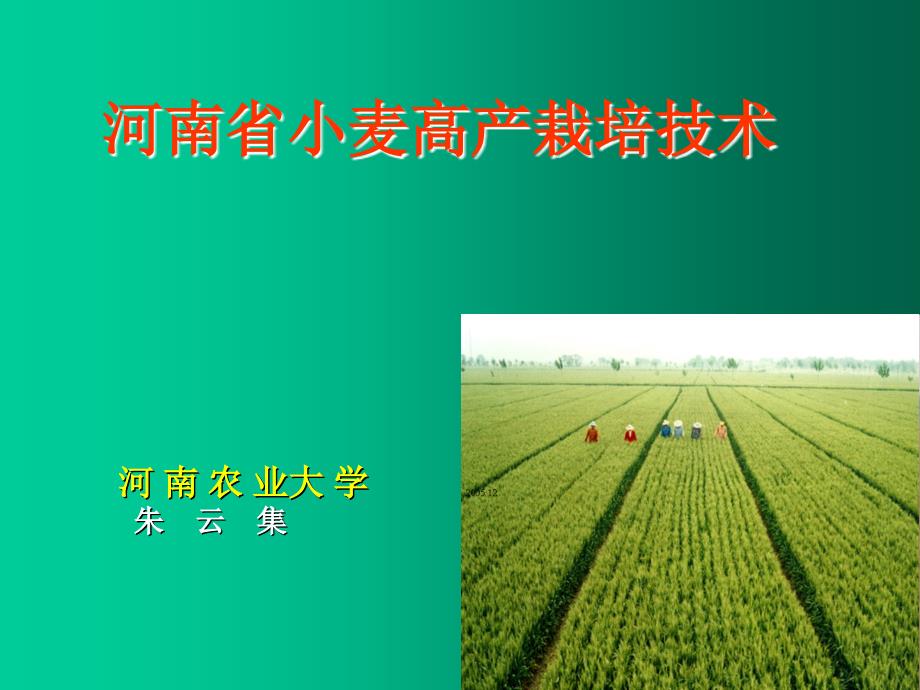 河农大朱云集河南省小麦高产栽培技术_第1页