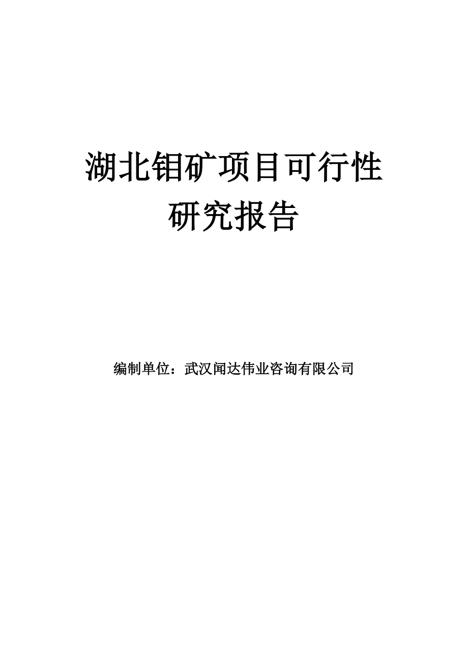 湖北钼矿项目可行性研究报告_第1页