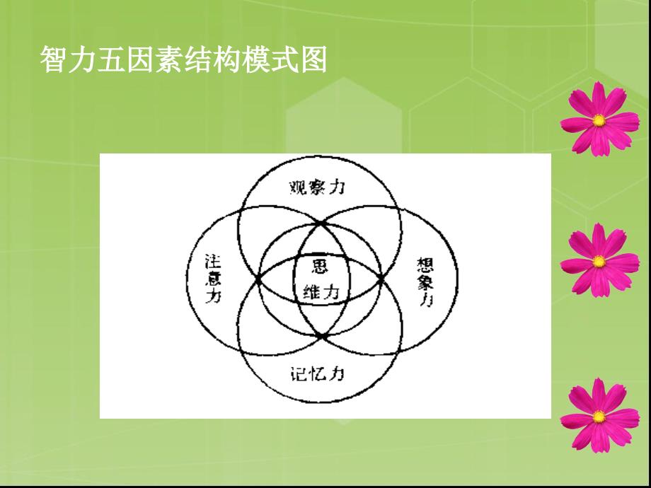 儿童智能开发_第4页