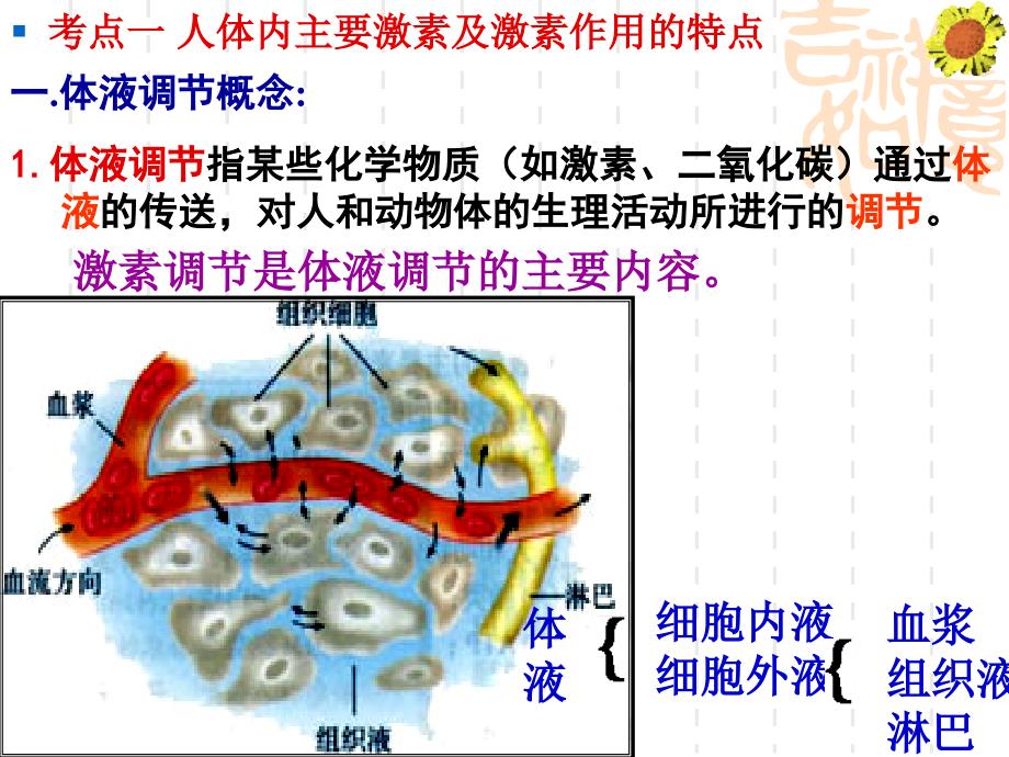 体液调节高三一轮复习_第3页