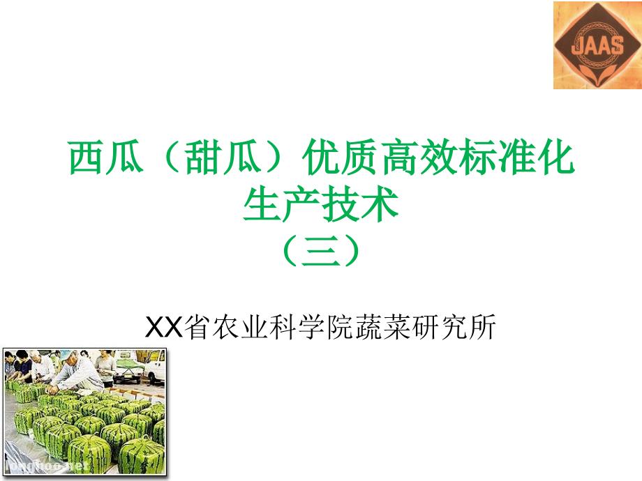 XX省农业科学院蔬菜研究所西瓜甜瓜优质高效标准化生产技术讲稿（三）_第1页