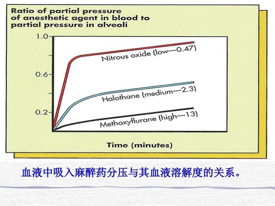 第6章 吸入麻醉_第5页