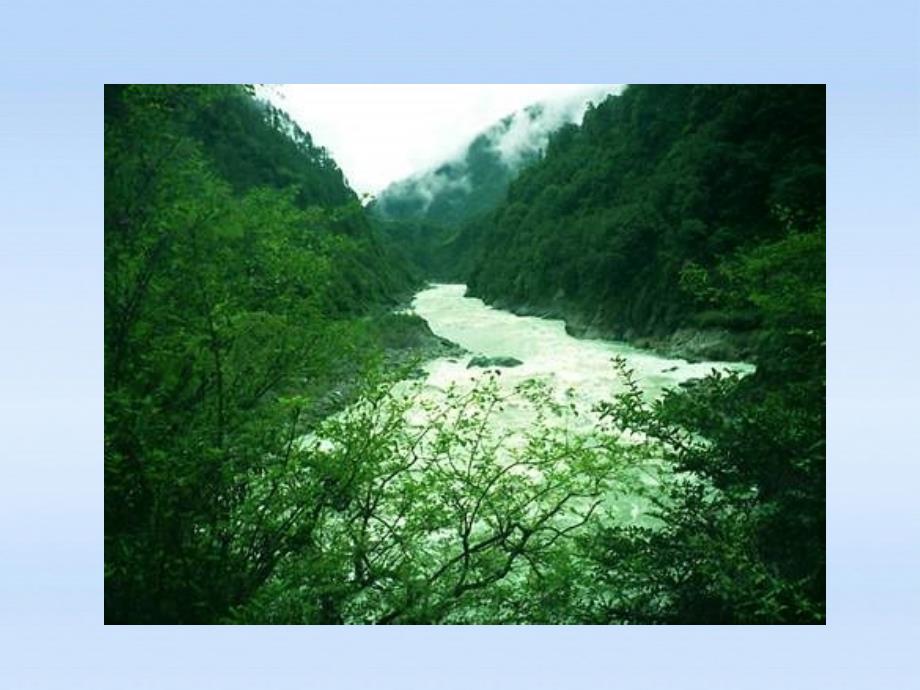 八年级生物下册 生态系统的组成 食物链和食物网课件 济南版_第1页