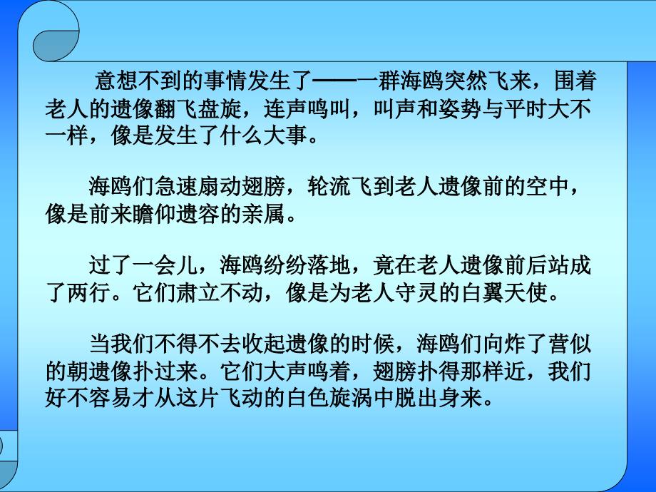 老人与 海鸥2  人教版 六年级 小学语文 上册_第4页