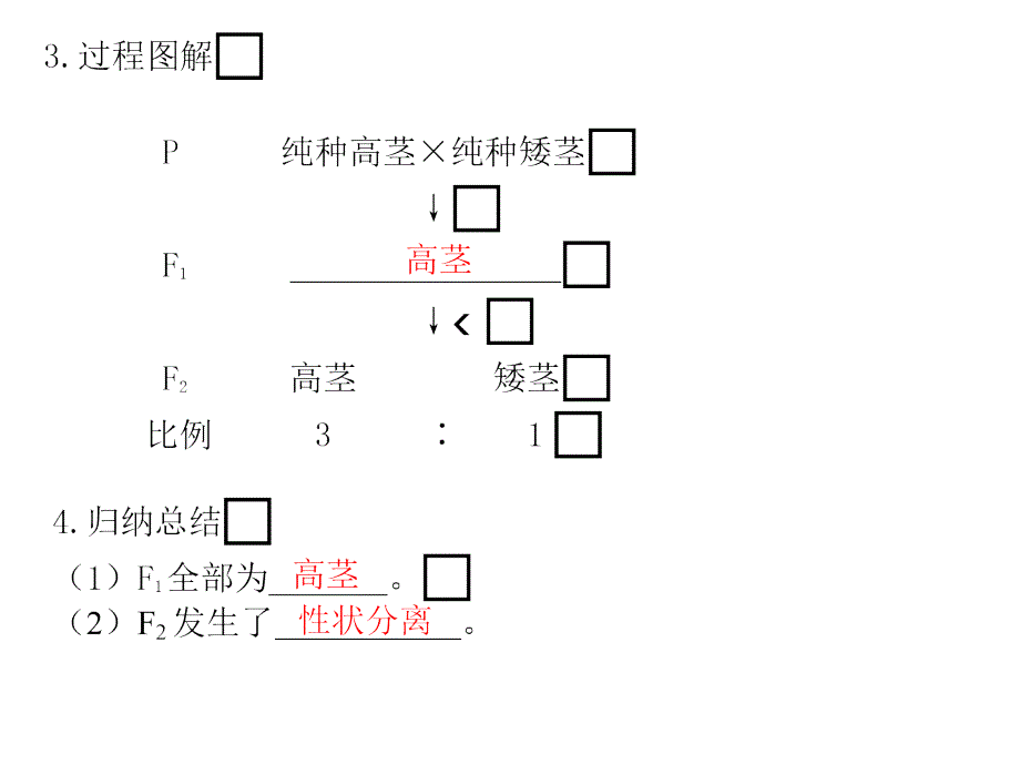 第五单元  遗传的基本定律  第16课时  孟德尔的豌豆杂交实验(一)_第2页