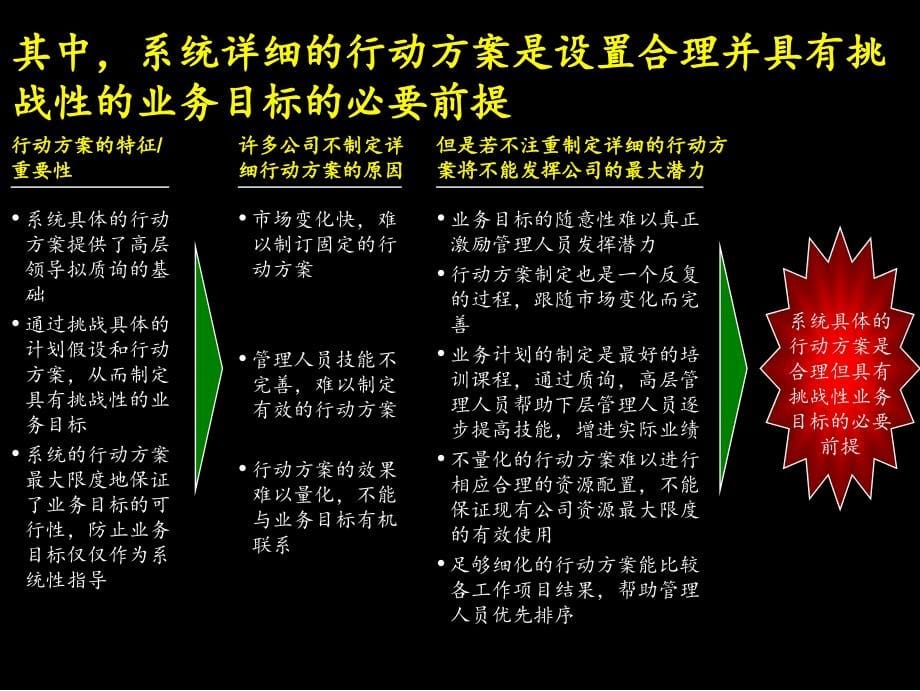 麦肯锡-康佳业务计划和资金预算操作手册_第5页