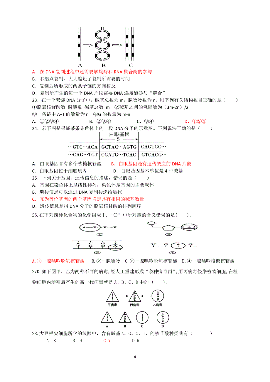 第三章《基因的本质》测试卷_第4页