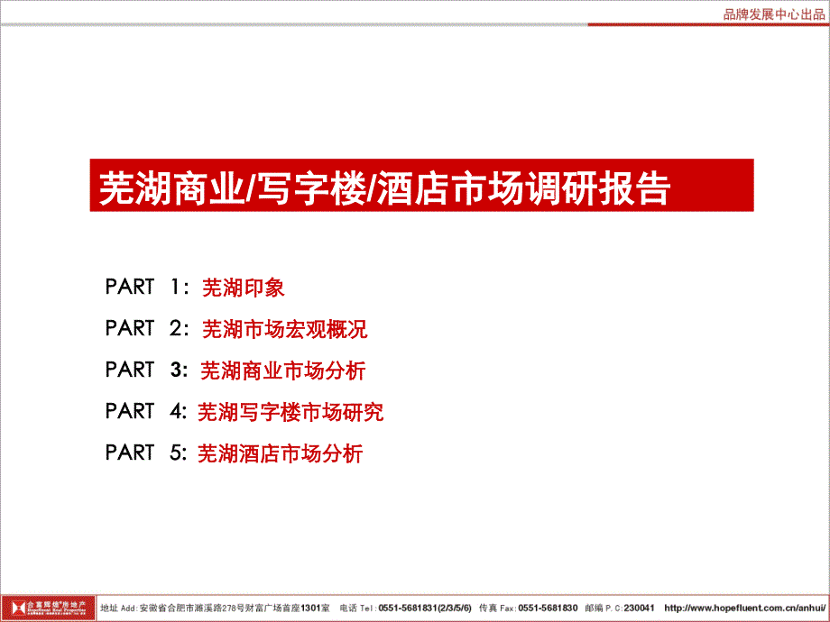 芜湖市场报告_第2页