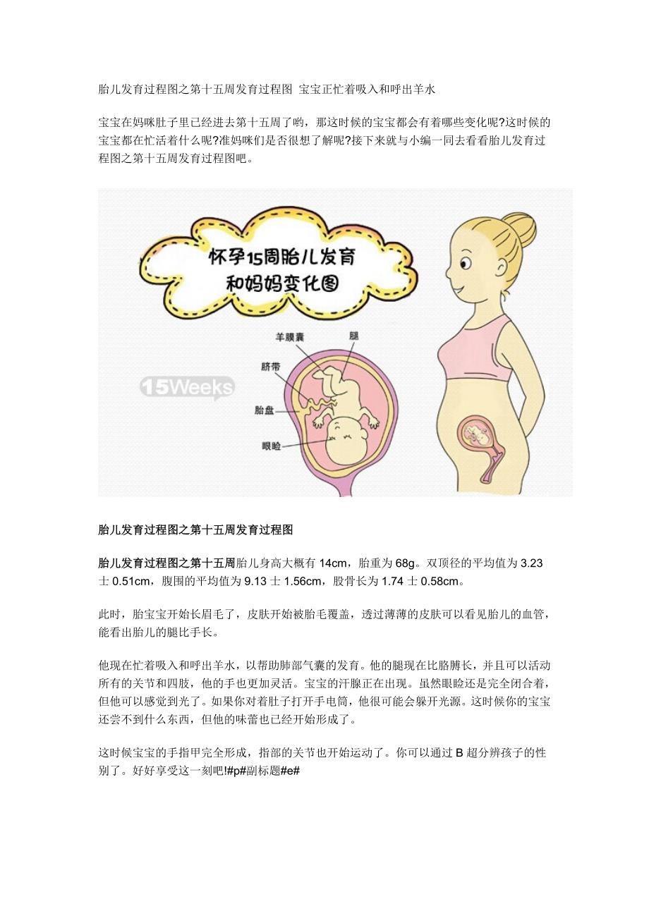 胎儿发育过程图之第十五周发育过程图_第1页