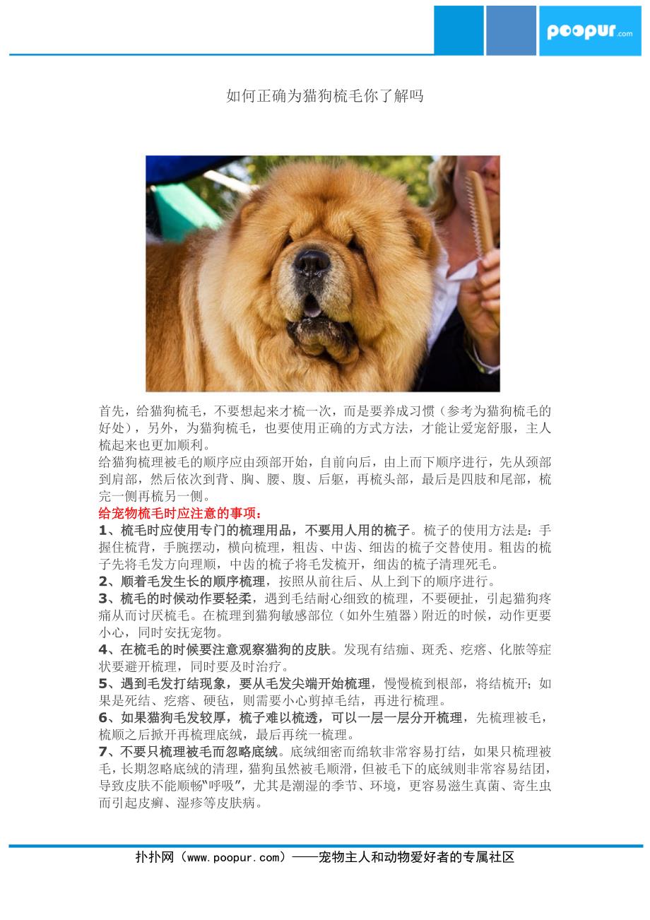 如何正确的给猫狗梳理毛你知道吗？_第1页