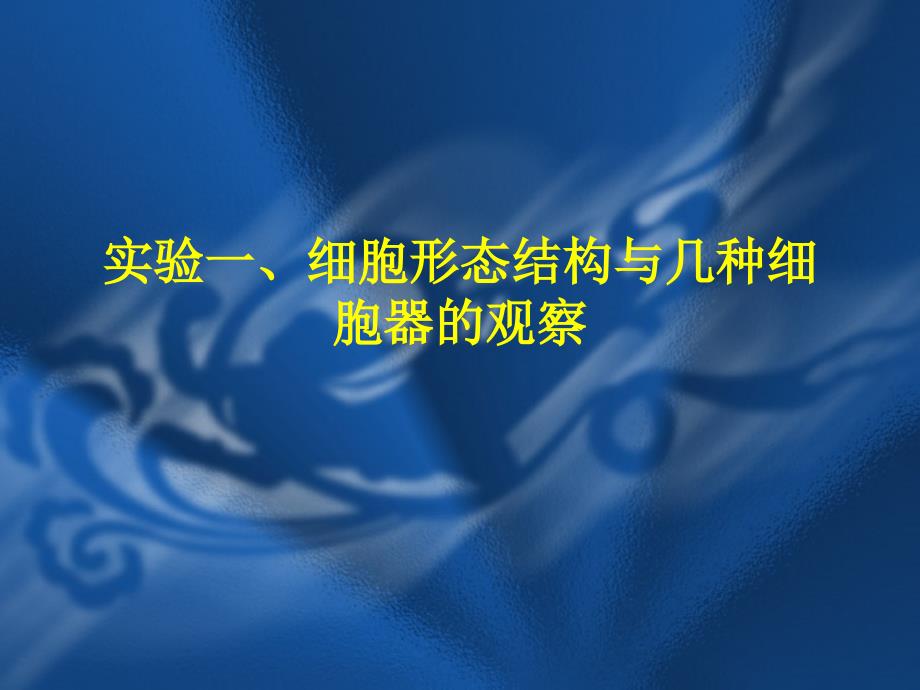 实验一、细胞形态结构与几种 2_第1页